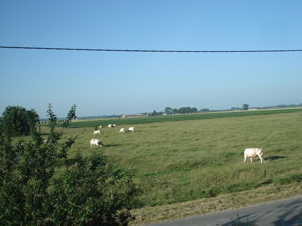 豪尔特格里迪住宿加早餐旅馆 达默 外观 照片